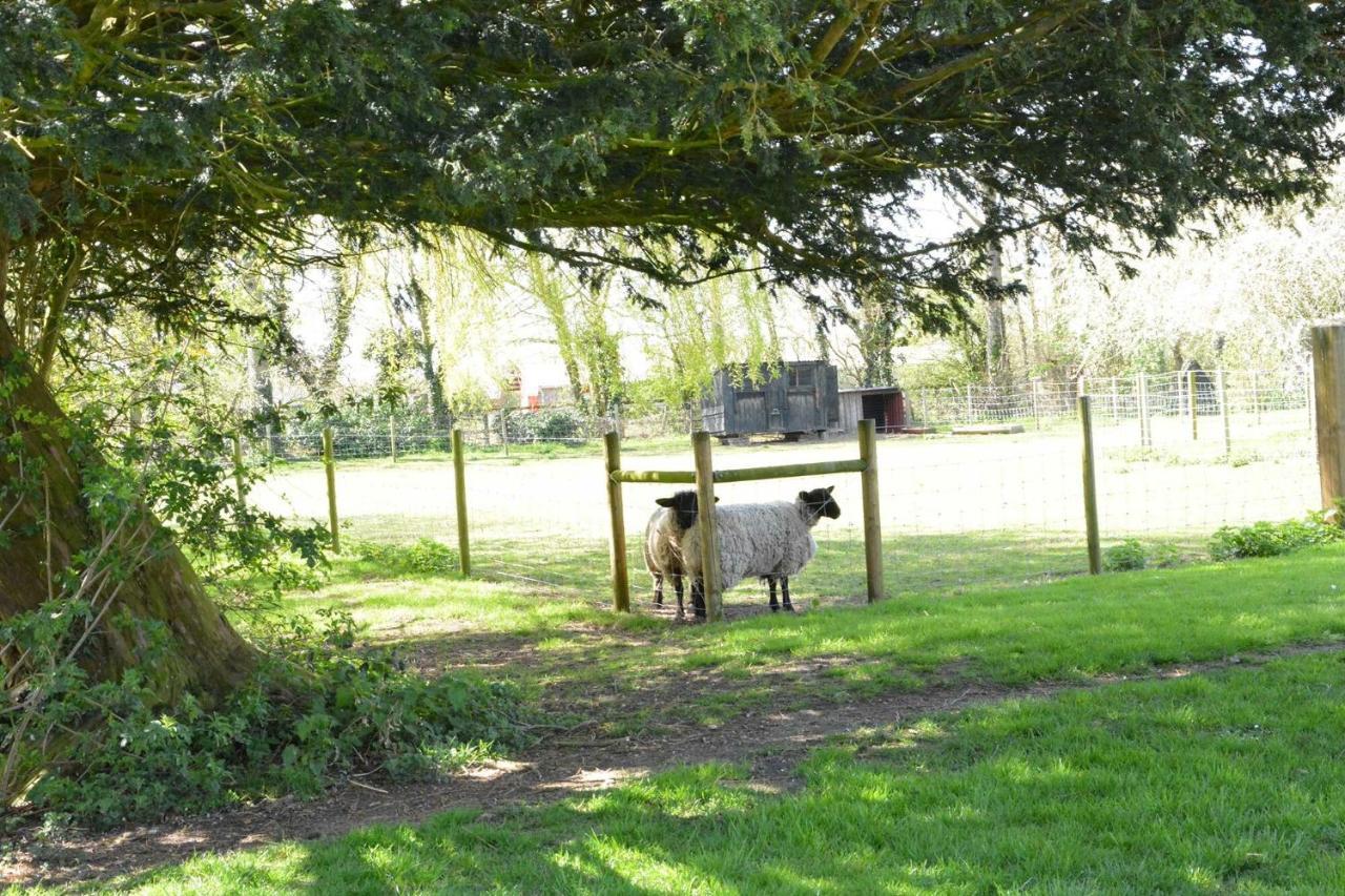 Yew Tree Farm Barn, Worlingworth Villa Eksteriør billede